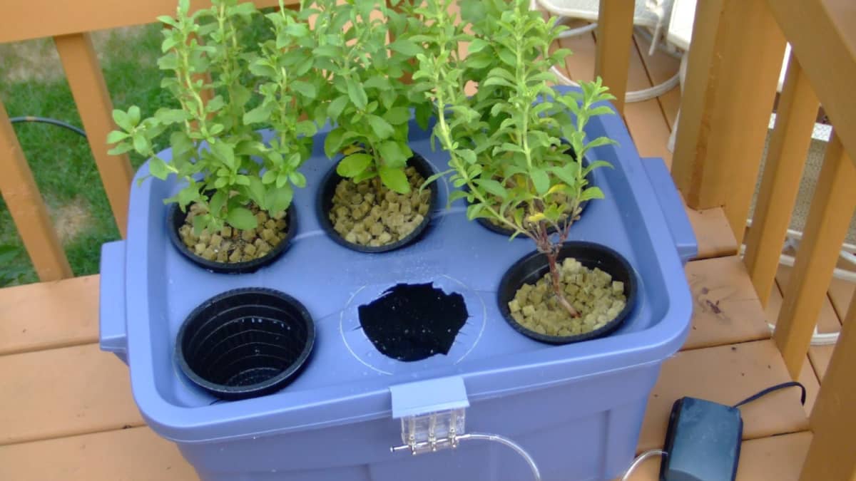 Selecting the Perfect Location for Your Hydroponic Setup