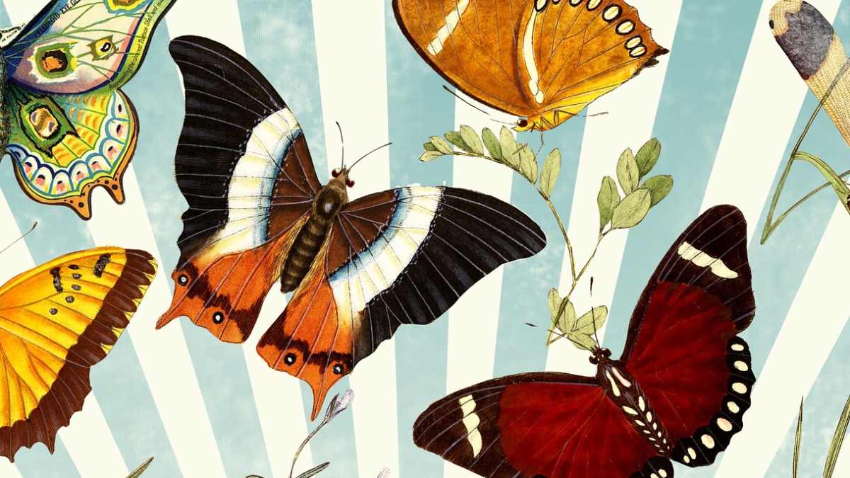 free-printable-collage-sheets-images-and-ephemera-hubpages for Free Printable Collage Sheets Pdf Free Printable Collage Sheets, Images, and Ephemera - HubPages for Free Printable Collage Sheets Pdf