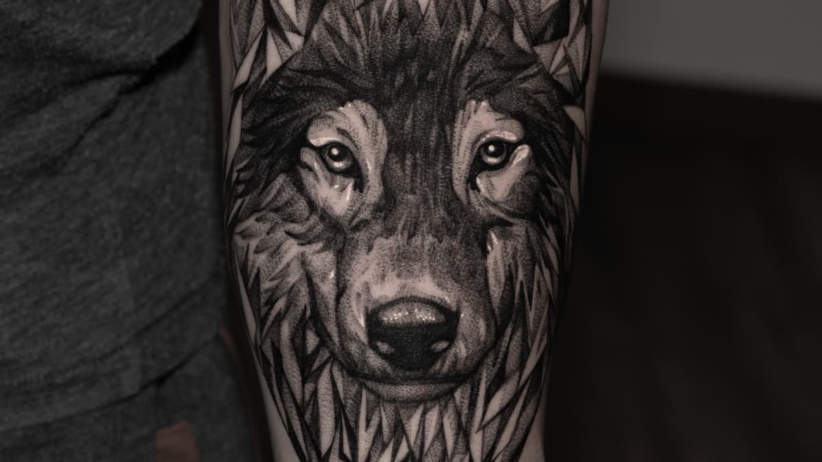 Wolf Tattoo Designs - TatRing