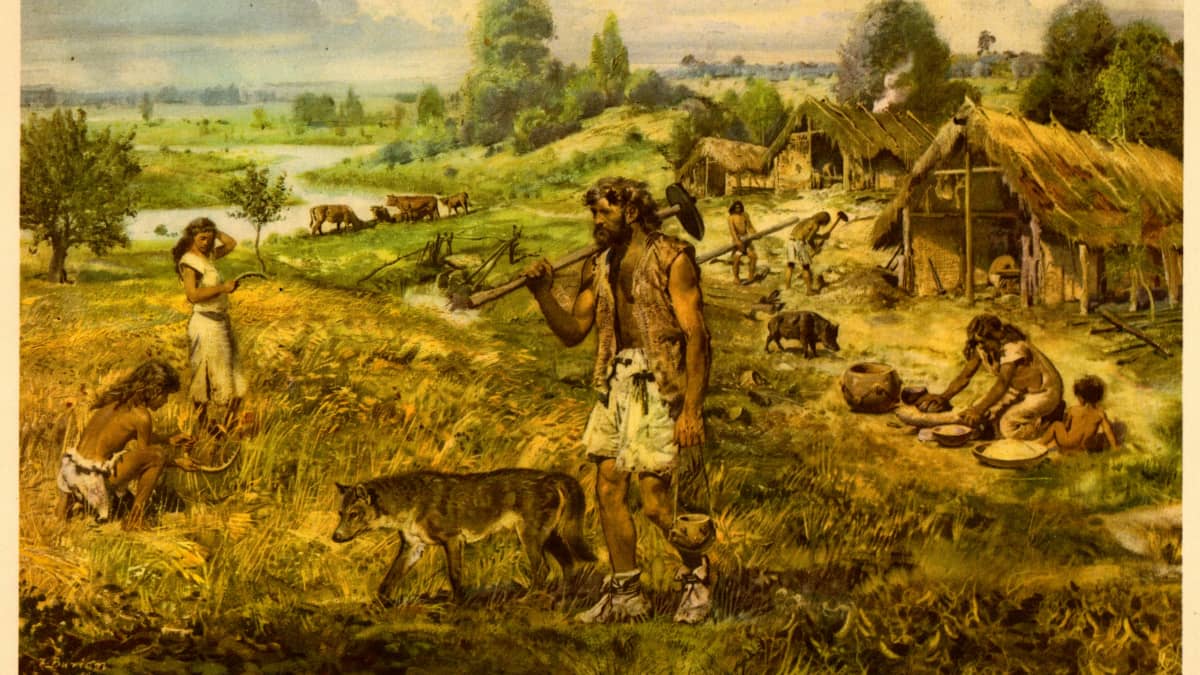 significance of neolithic revolution