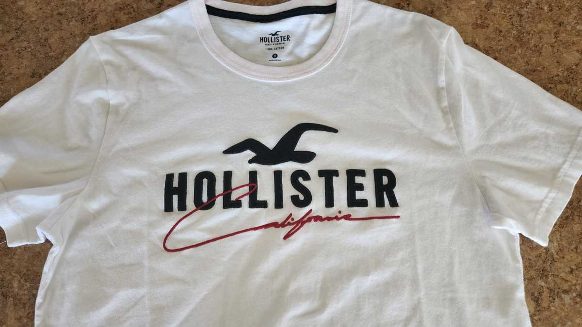 hollister-logo – Trademark Property