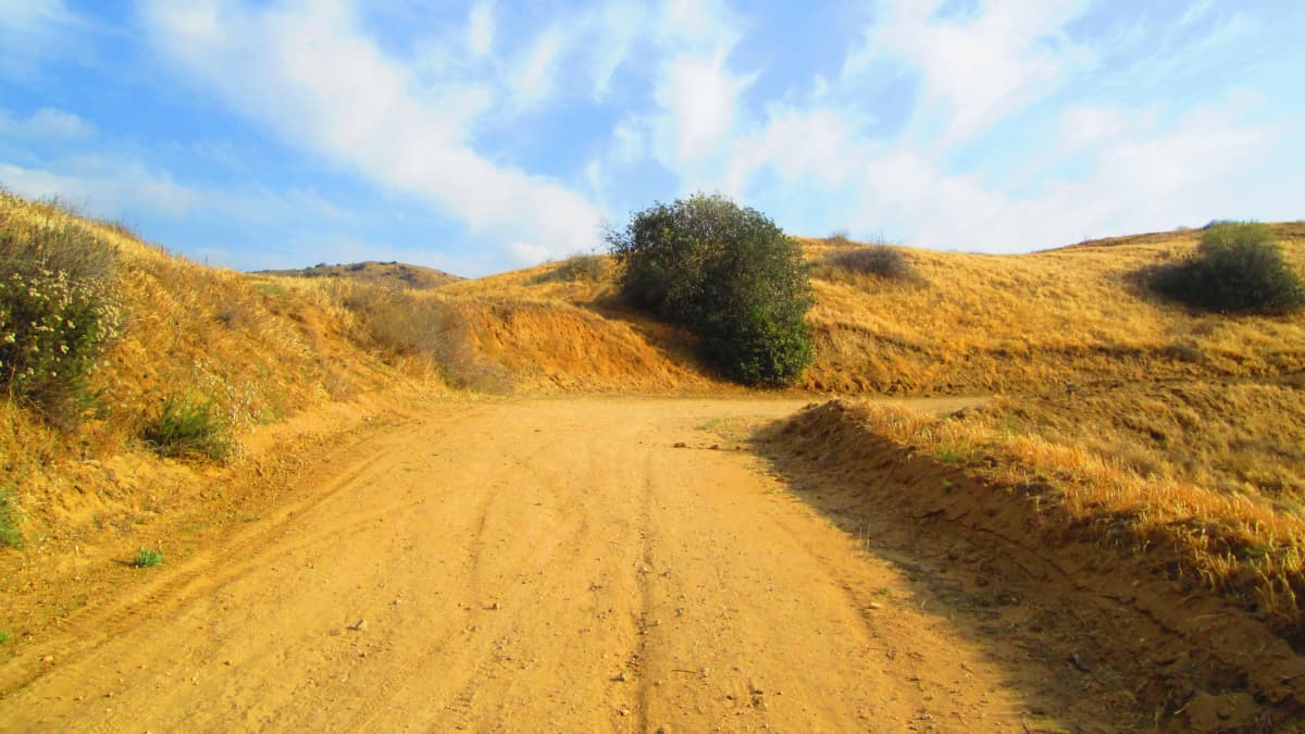 Loma Linda