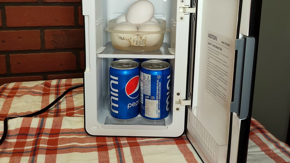 How Much Electricity Does a Mini Fridge Use? [Running Costs]