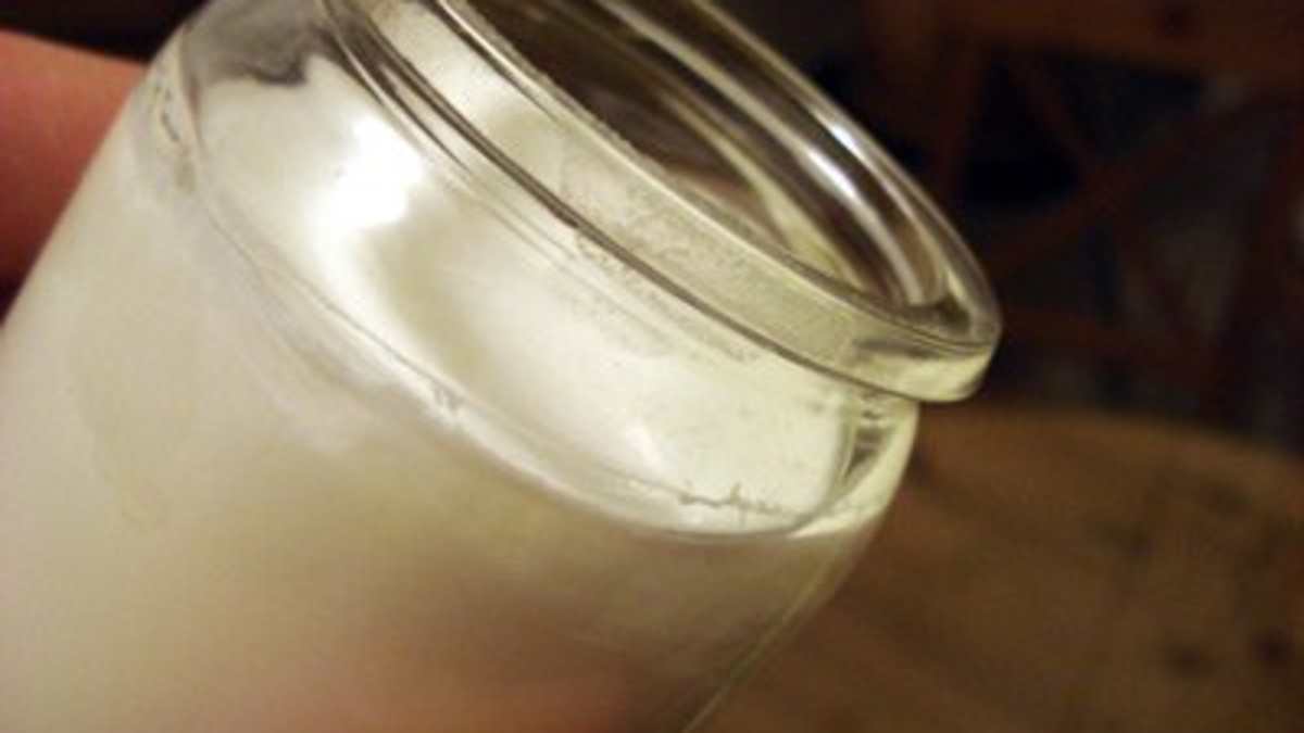 How To Make Yogurt Step By Step Guide With Pictures Delishably