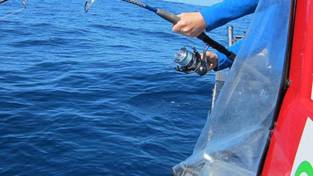 2019 shimano stella 8000 SHIMANO Stella SW 8000 Spinning Reels