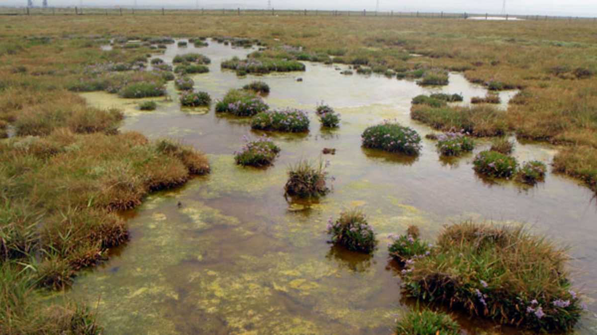 Headless Corpses Of Deadman S Island Are They Waiting For You Hubpages