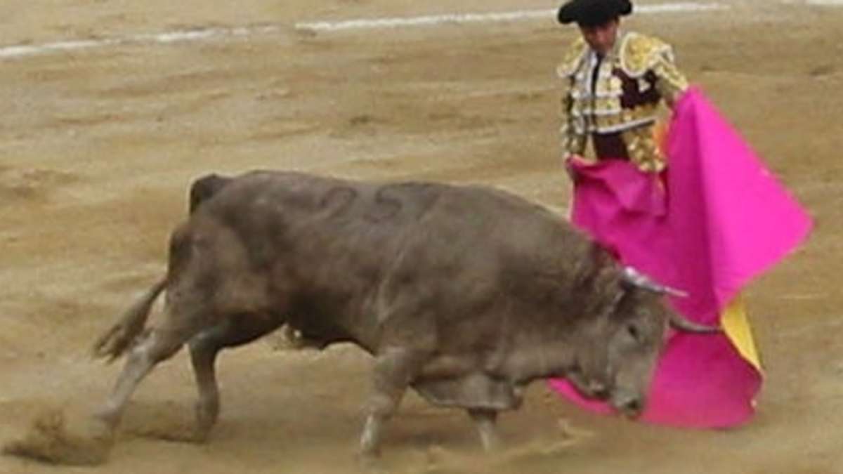 Personality Type Compatibility Best Matches Hubpages Definitions of combatable word verb with object combatable to fight or contend against; personality type compatibility best