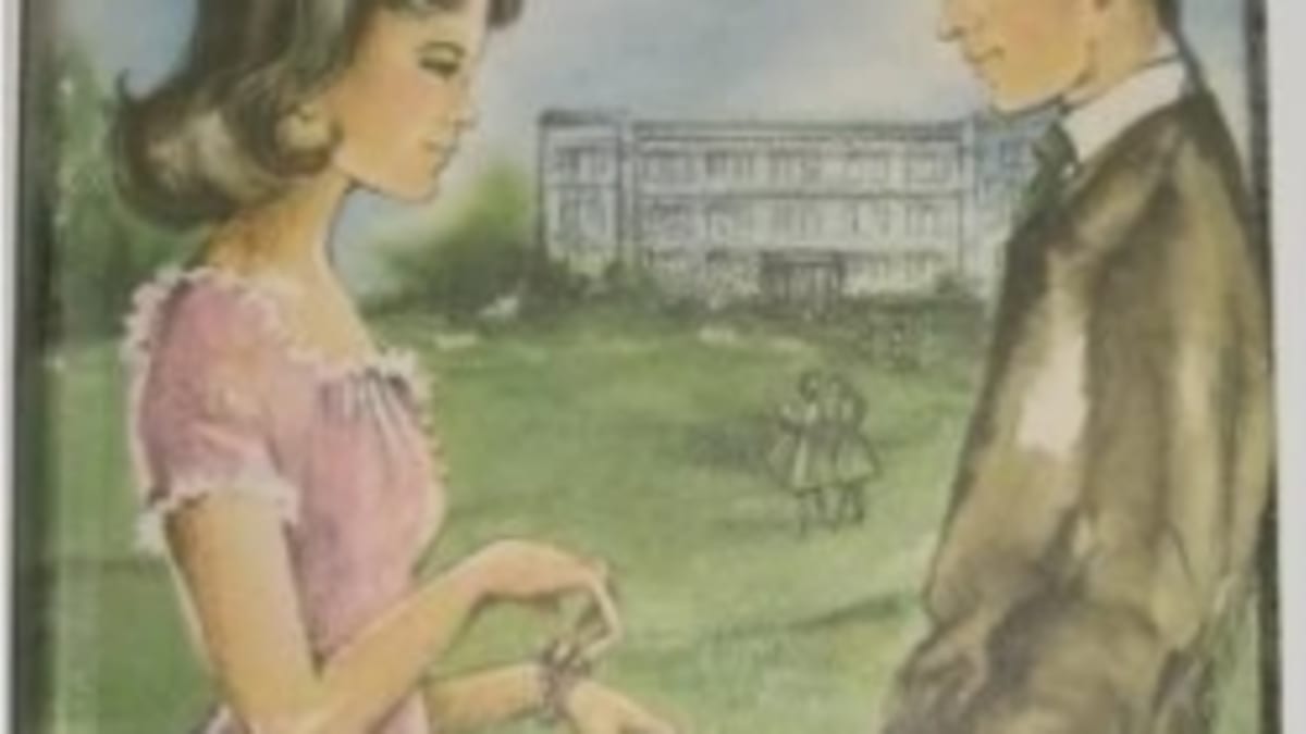 The Pink Dress By Anne Alexander Hubpages
