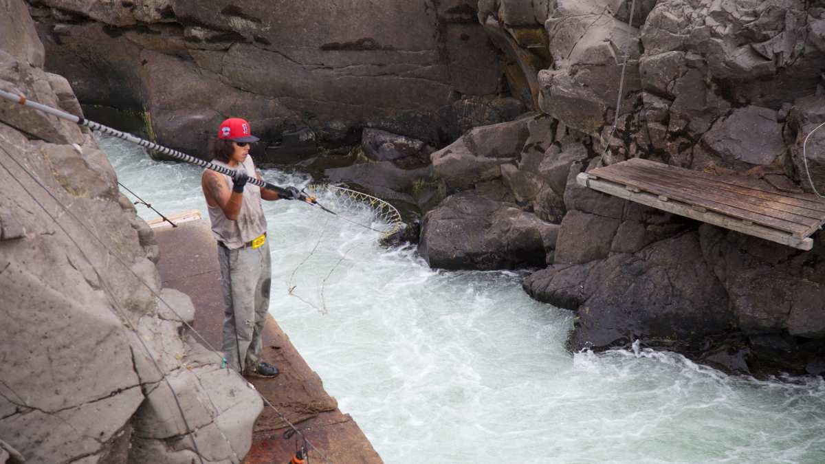 dip net fishing ontario Aquaculture Nets Lowes TravelsSome fishy facts about