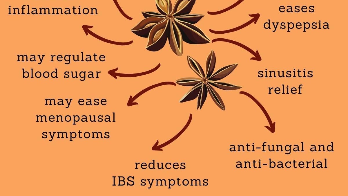 What Is Anise? Medicinal and Culinary Uses - HubPages