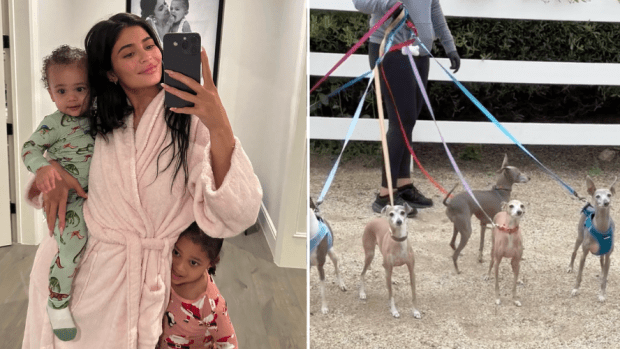 Kylie Jenner Ran Into Her Seven Pups on a Walk and People Are Judging ...