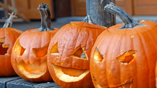 Girl Claims Rotted Pumpkin Looks Just Like Grandma and In No Way Thinks ...