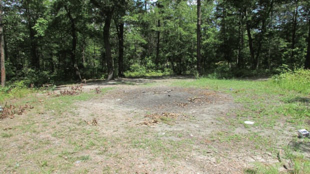 ‘The Devil’s Tramping Ground’ Is a Mysterious Wooded Spot in North ...