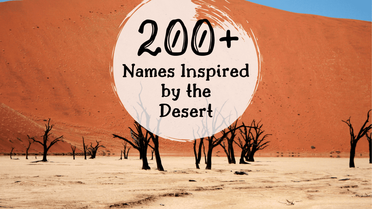 Baby Names Inspired By The Desert Wehavekids