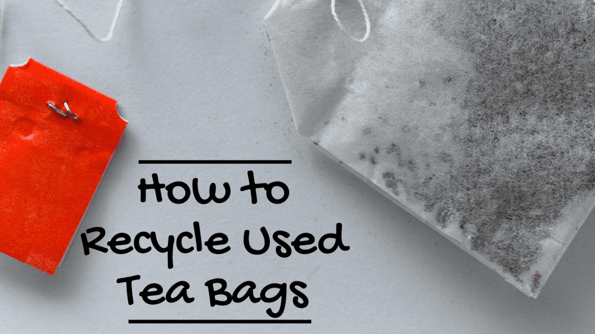 Tea Bags (Paper) - Burbank Recycling Guide