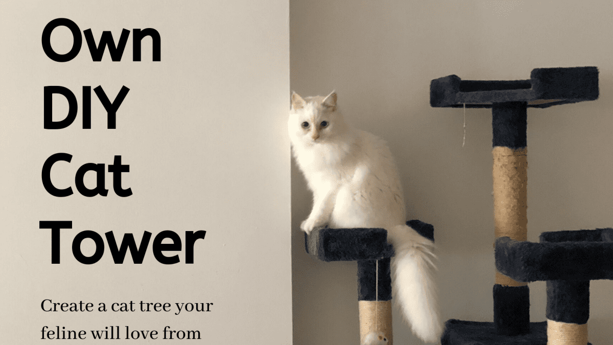 diy tall cat tree