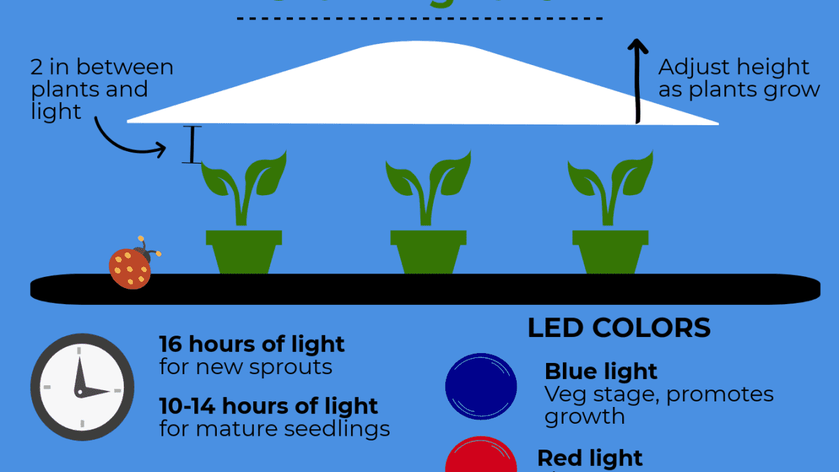 The Facts About T5 Grow Lights Revealed
