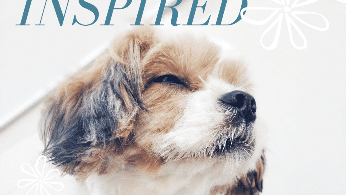 150 Beautiful And Uncommon Flower Names For Dogs Pethelpful