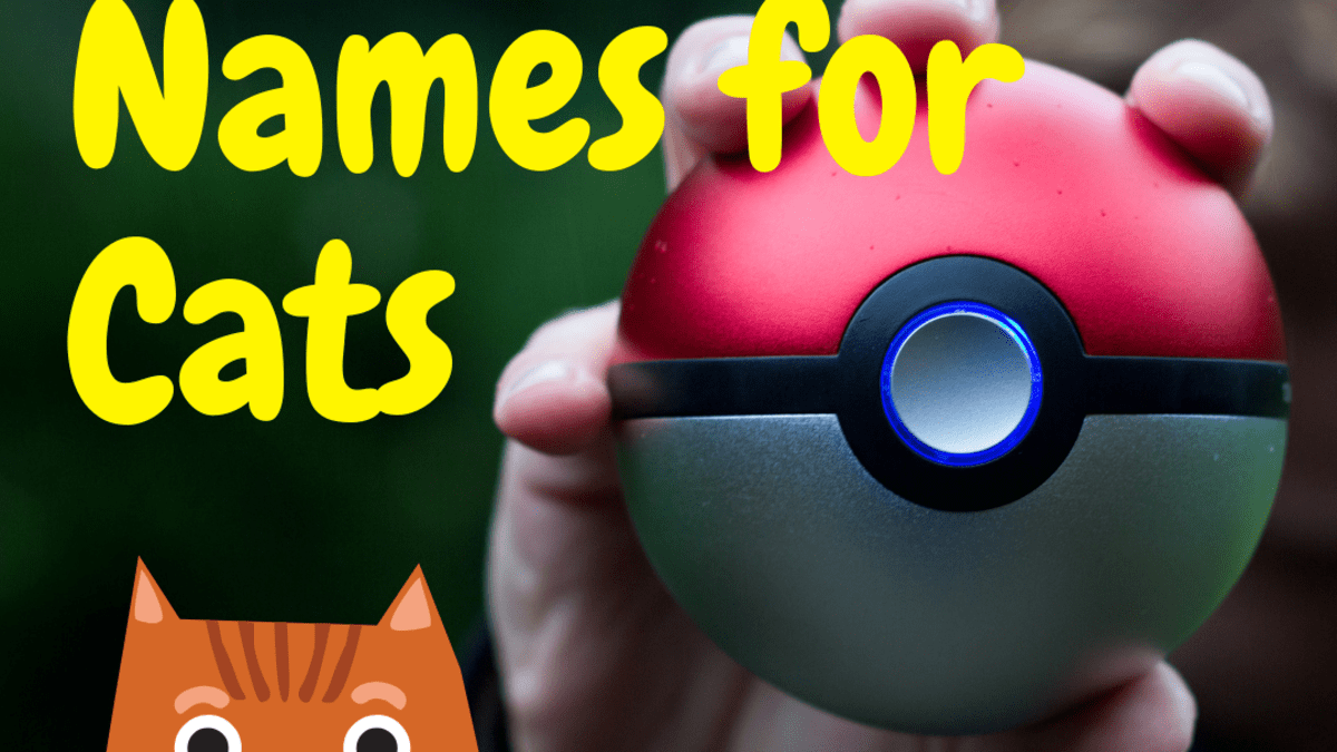 150 Pokemon Cat Names Pethelpful