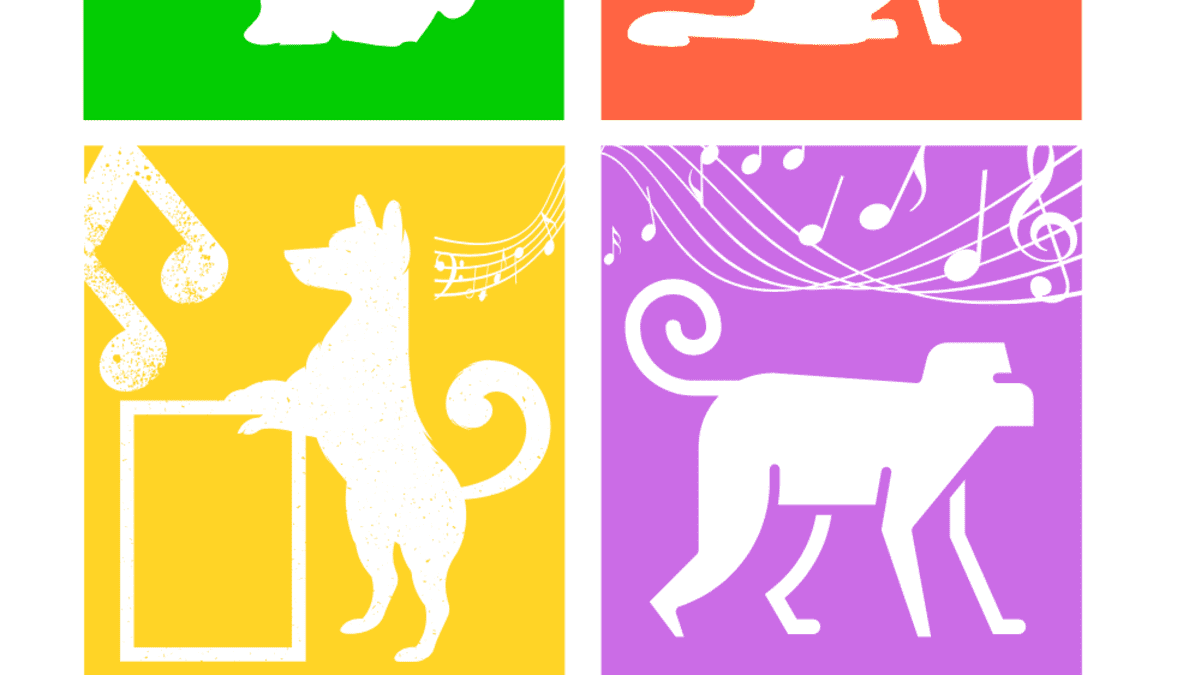 100 Songs With Animals In The Title You Should Listen To Spinditty