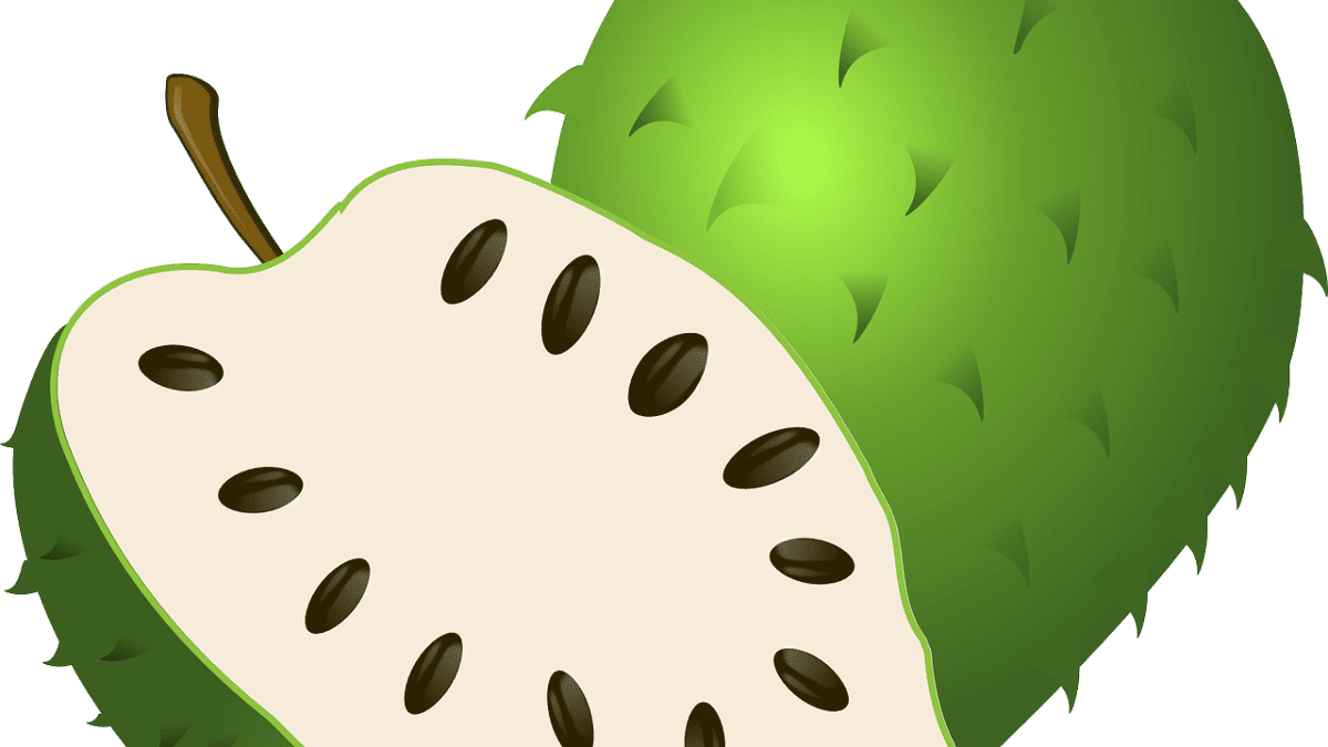 15 Health Benefits Of Guyabano Soursop Leaves Hubpages