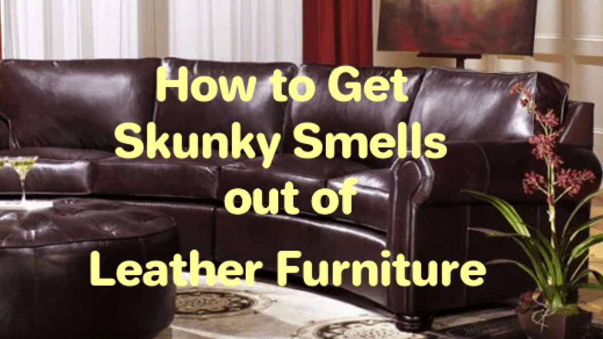 Stinky Smells Out Of Leather Furniture, How To Get Curry Stain Off Leather Sofa