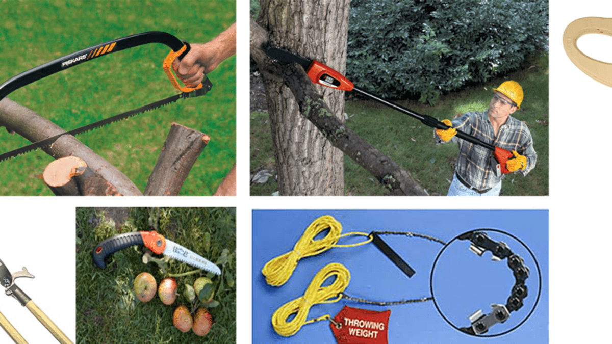 The Best Tree Saws for Every Backyard and Garden Task - Dengarden