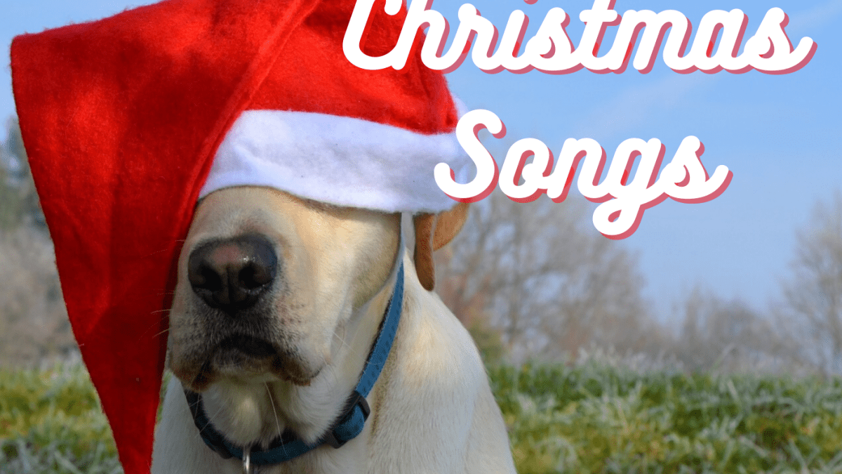 52 Funny Christmas Songs - Spinditty