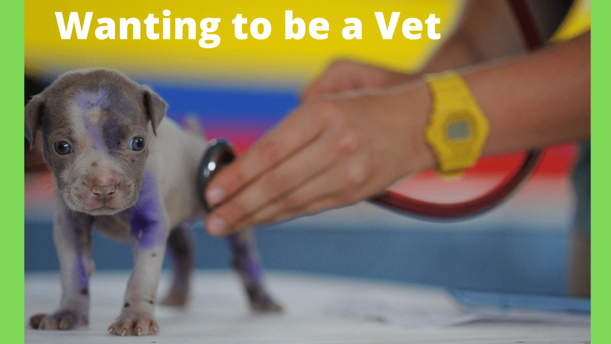 Top 10 Books for Kids Wanting to Be a Vet - PetHelpful