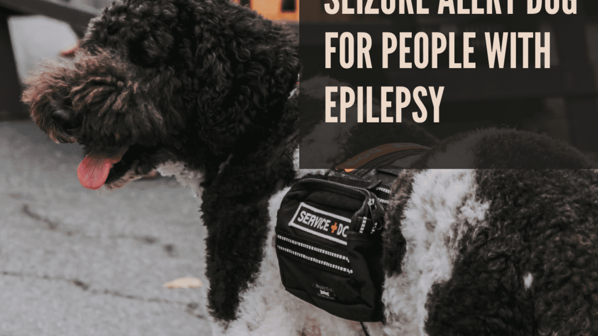 how do dogs alert seizures