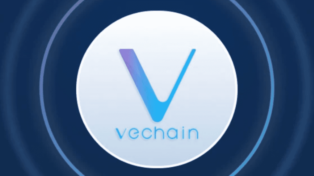 VeChain and VET/VTHO Cryptocurrency Explained - HubPages