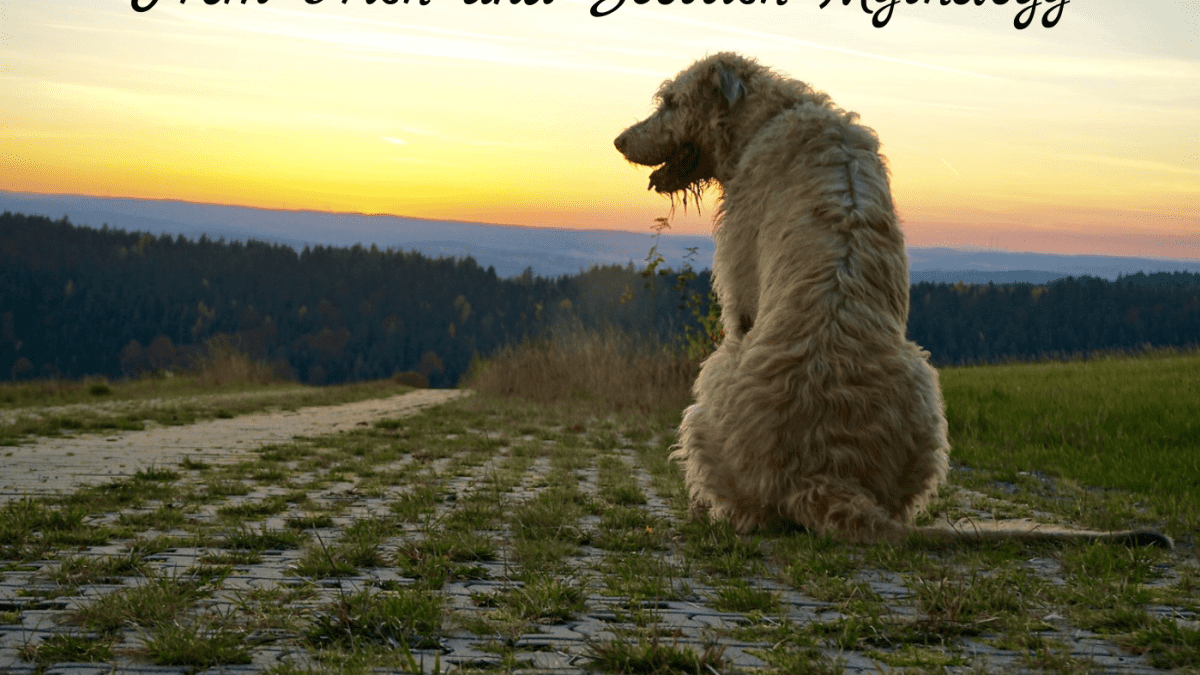 20 Mythical Irish And Scottish Names For Male Dogs Pethelpful