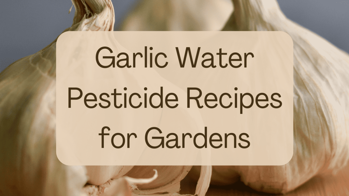 is garlic spray safe for dogs