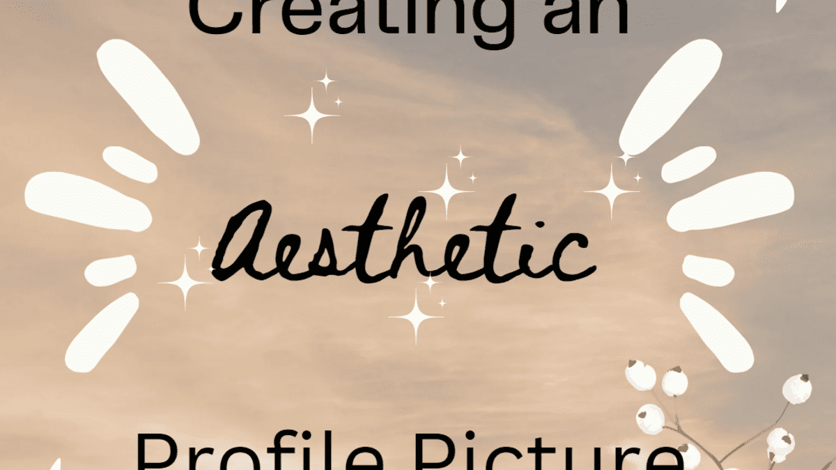 Best Aesthetic Profile Pictures (Pfps)