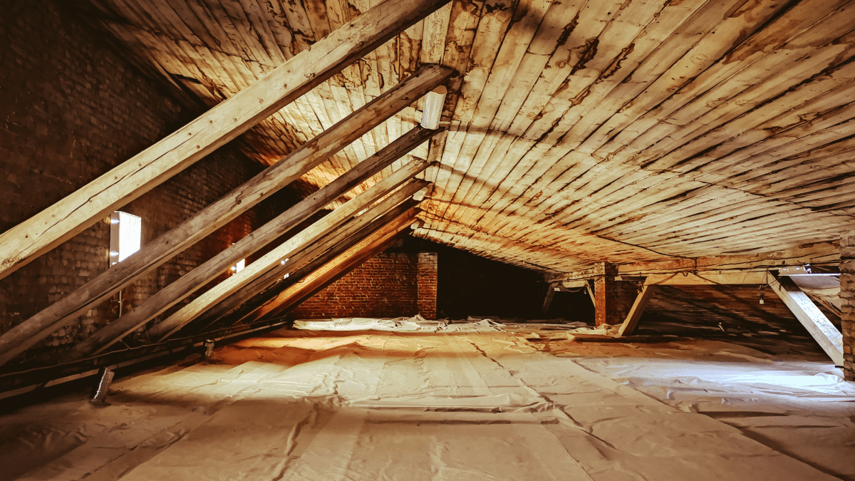 How to Prevent Attic Mold From Growing - Dengarden