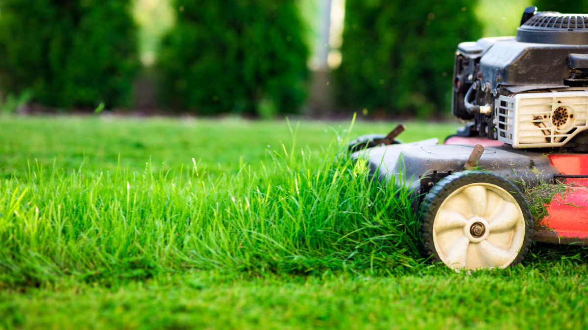 How to Sharpen Lawn Mower Blades - Dengarden