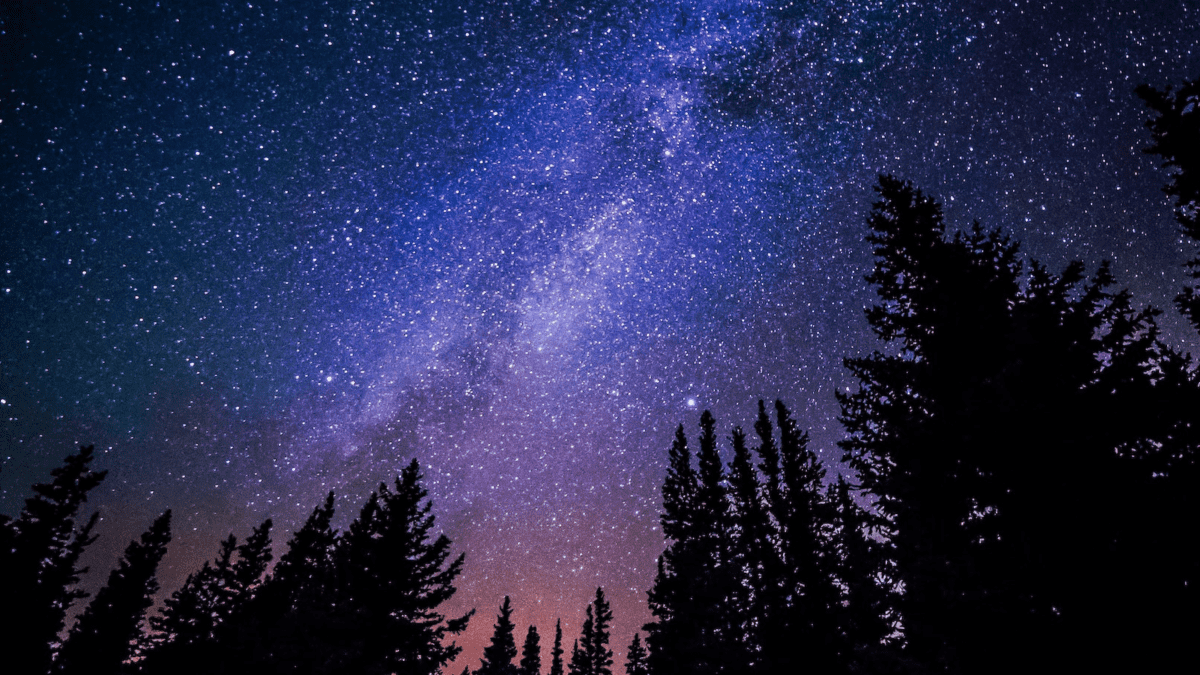 100 Best Songs With Night in the Title - HubPages
