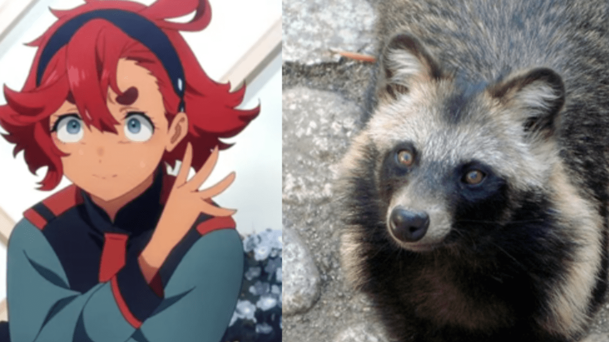 Carnivora Japanese raccoon dog Yōkai Fan art Shapeshifting, Tanuki, mammal,  carnivoran, furry Fandom png | PNGWing