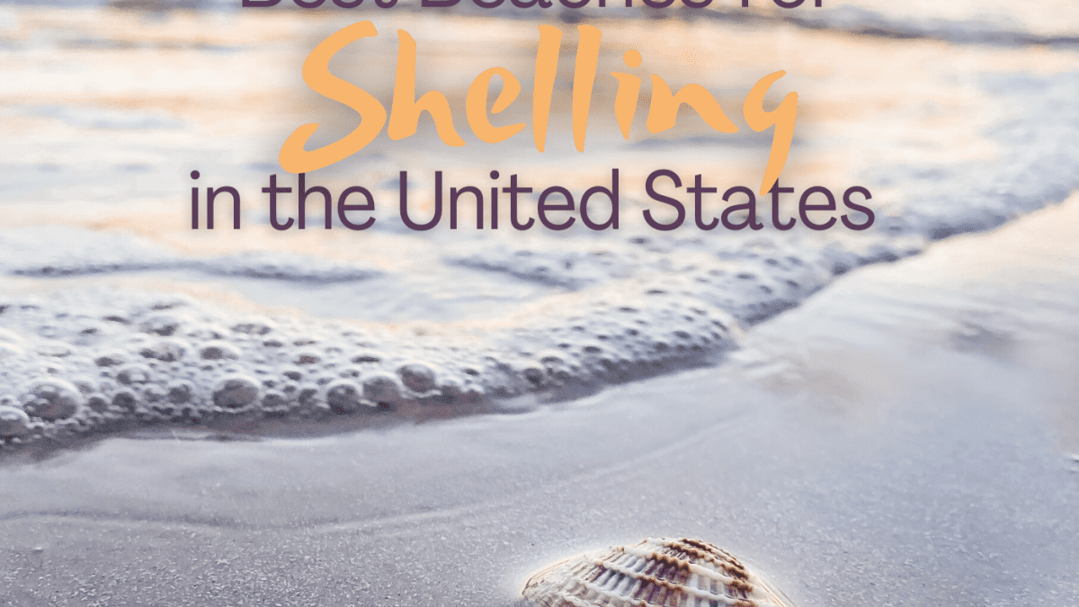 Best Beaches for Shelling in the U.S., From California to ...