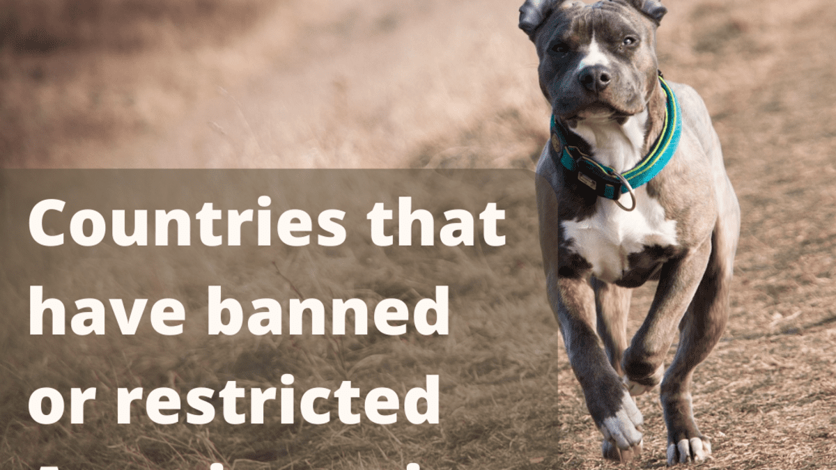 what countries are pitbulls legal in