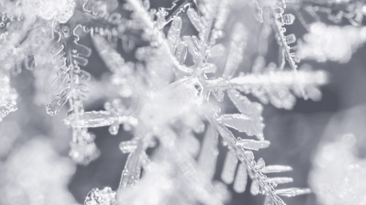 The magic of snowflakesand the science behind them! - Look Local -  Celebrating Community