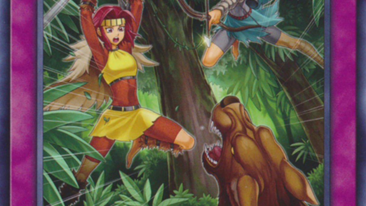 Top 10 Cards You Need for Your Amazoness