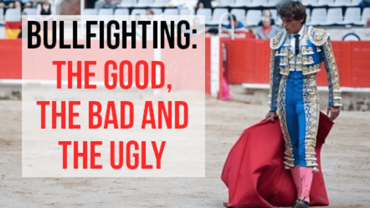 Arguments For And Against Bullfighting Soapboxie