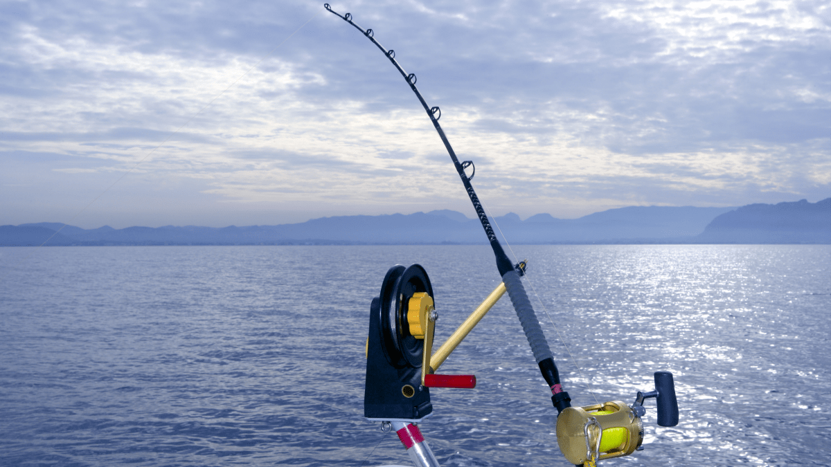 ande fishing pole ande fishing pole Dark Matter Psychedelic Casting Rods