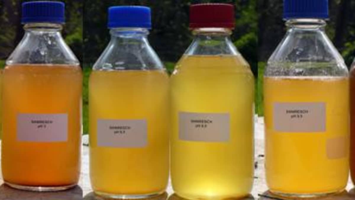 Как выглядит моча цвета пива Cloudy Vs Clear Urine Cheap Sale inos.kz
