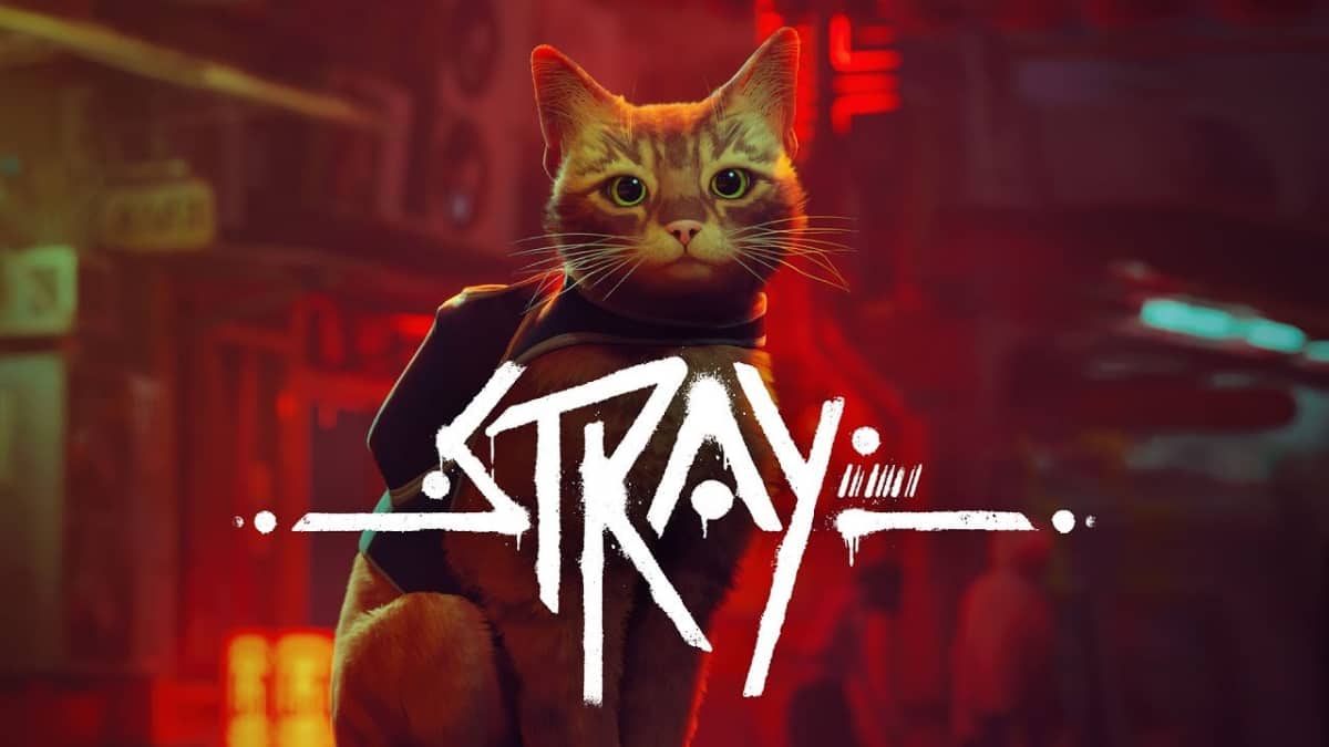 stray-game-review.jpg
