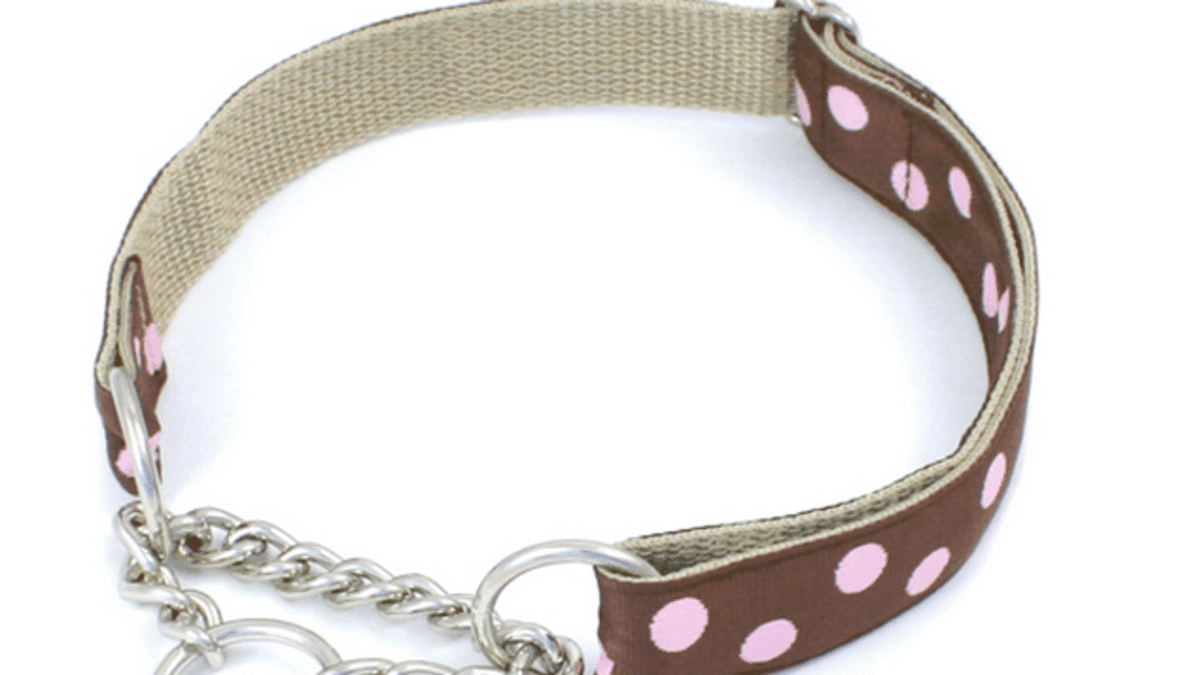 Dog Training Tools The Martingale Collar PetHelpful