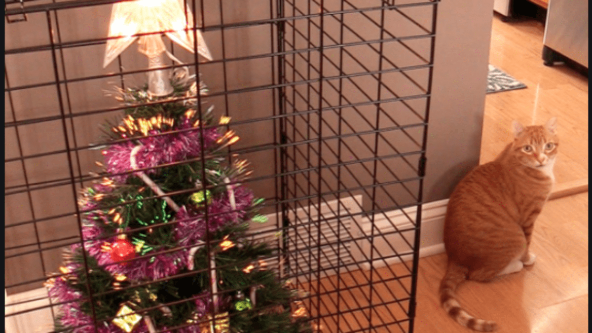 Christmas tree cage outlet cat