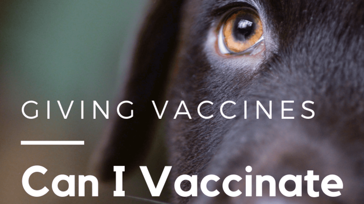 Can a puppy be store around a vaccinated dog