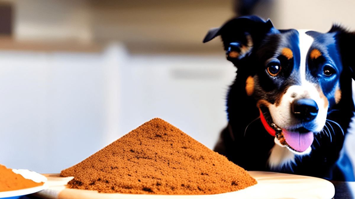 Kidney friendly shop dog food recipes